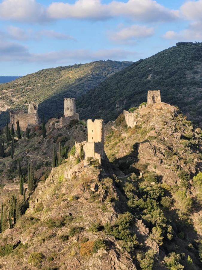 3 Star Surdespine Historic 4 Chateaux Lastours Air Conditioned מראה חיצוני תמונה