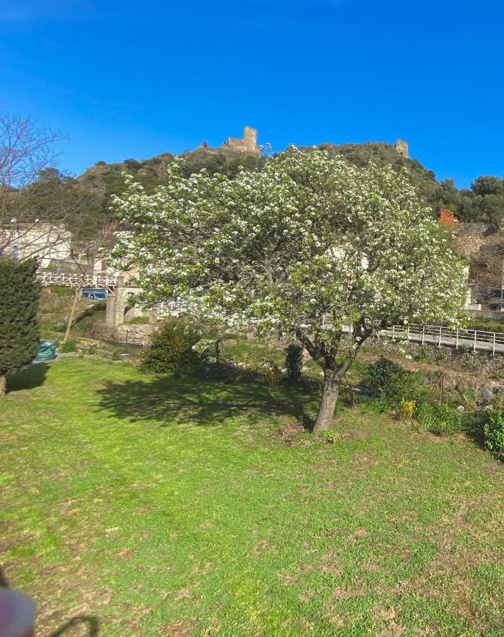 3 Star Surdespine Historic 4 Chateaux Lastours Air Conditioned מראה חיצוני תמונה