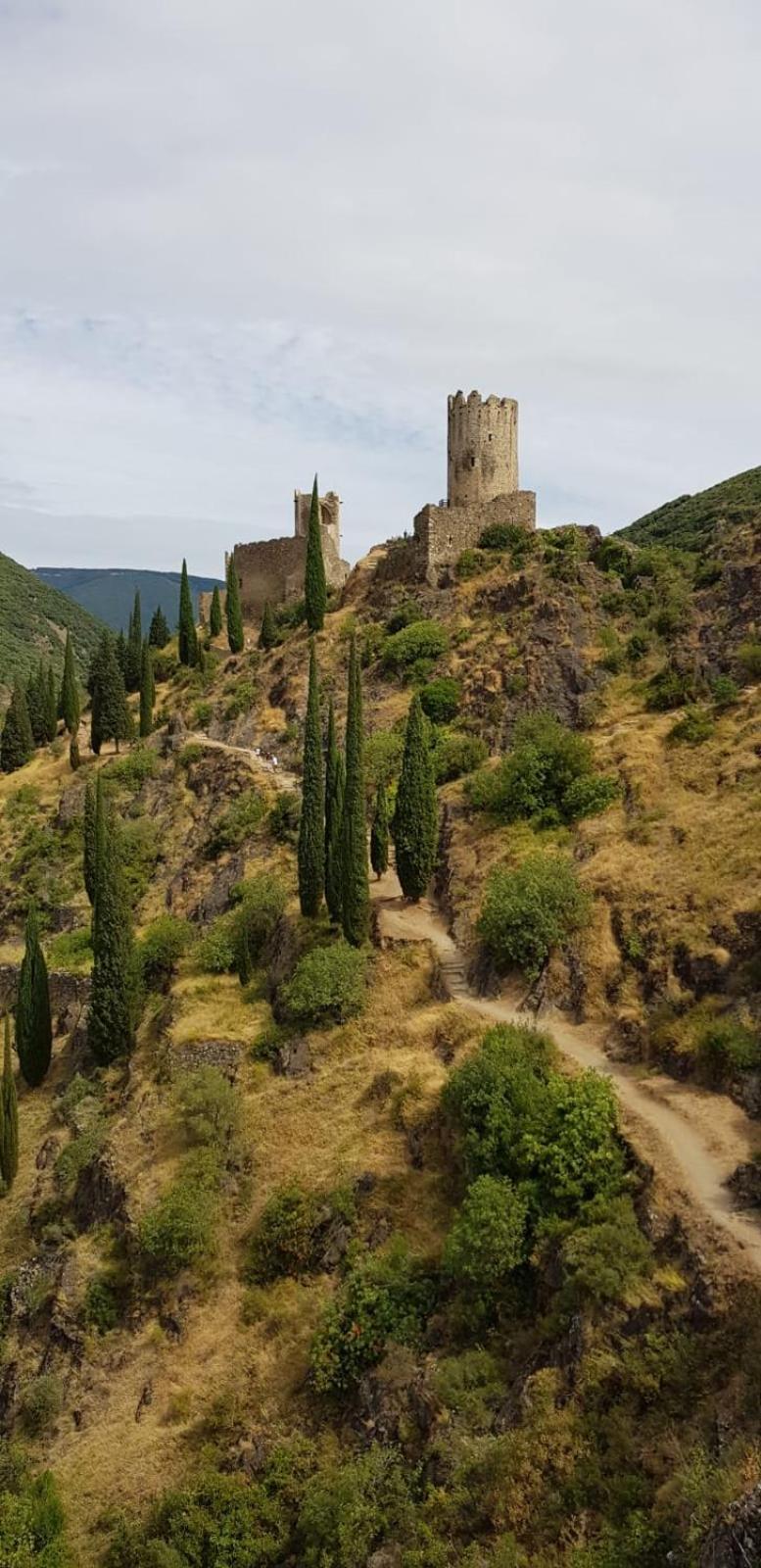 3 Star Surdespine Historic 4 Chateaux Lastours Air Conditioned מראה חיצוני תמונה